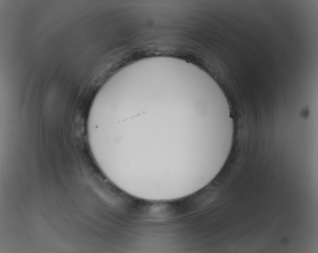 X0000116630173200912312207
