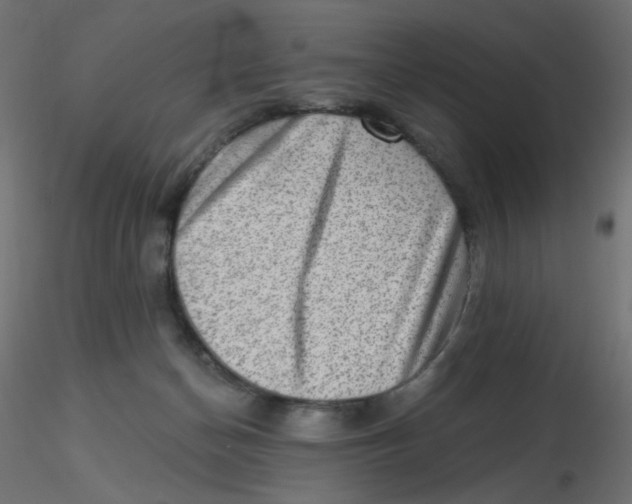 X0000116630174200912312207