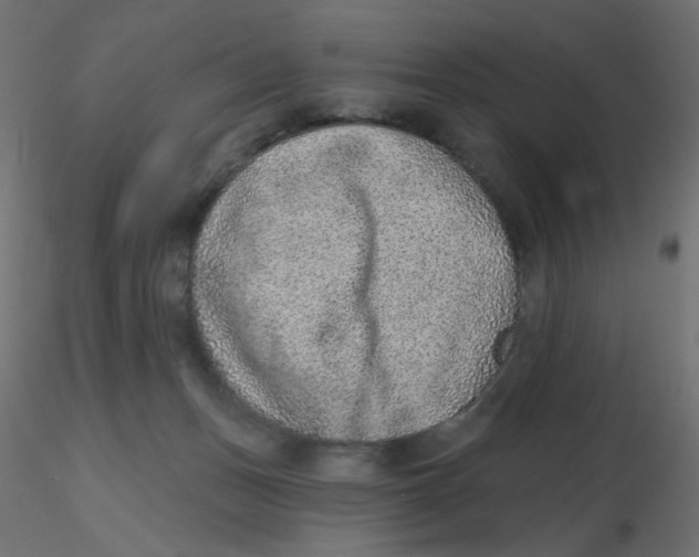 X0000116630175200912312207