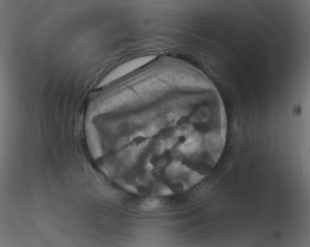 X0000116630177200912312207