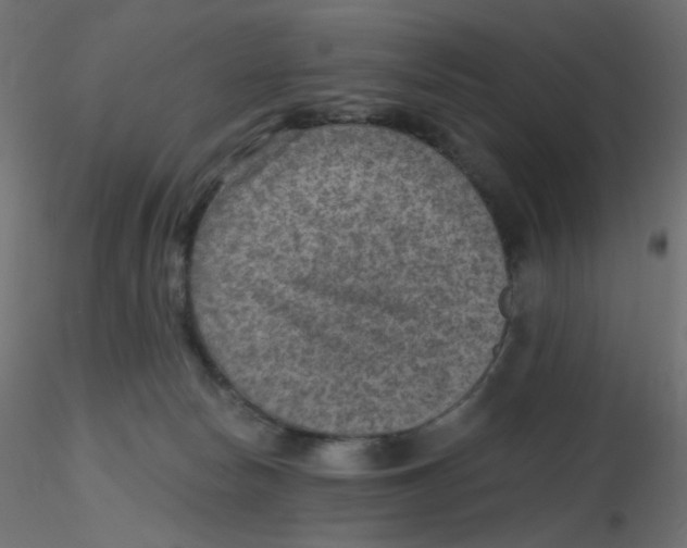 X0000116630178200912312207