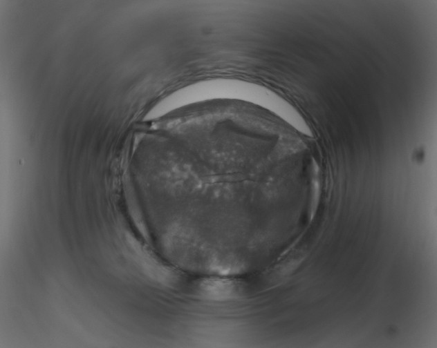 X0000116630181200912312207