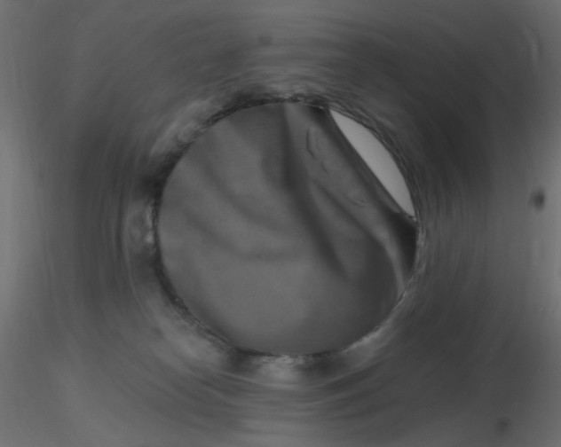 X0000116630182200912312207