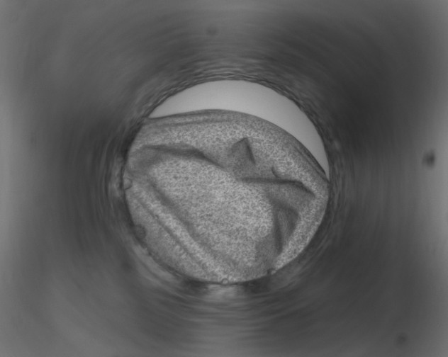 X0000116630185200912312207