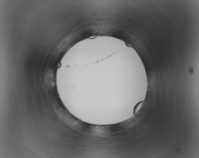 X0000116630187200912312207