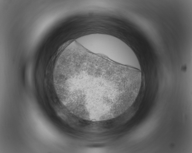 X0000116630189200912312207