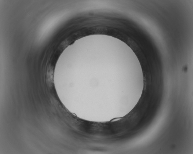 X0000116630190200912312207