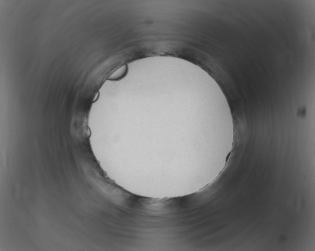 X0000116630191200912312207