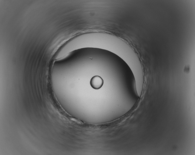 X0000116630194200912312207