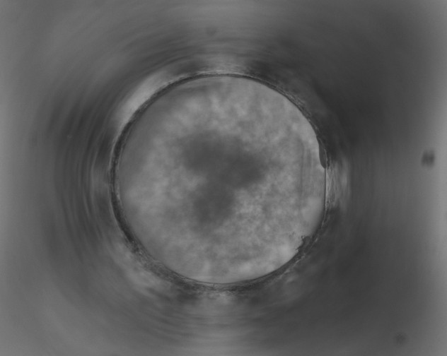 X0000116630195200912312207