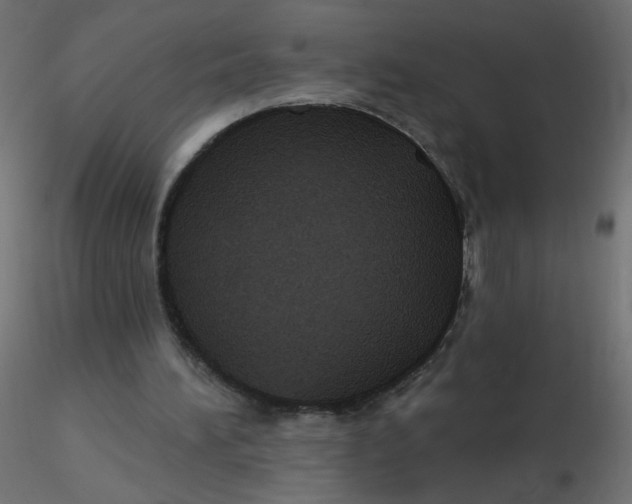 X0000116630196200912312207