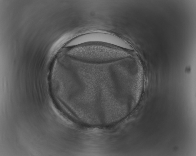 X0000116630197200912312207