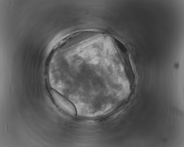 X0000116630198200912312207