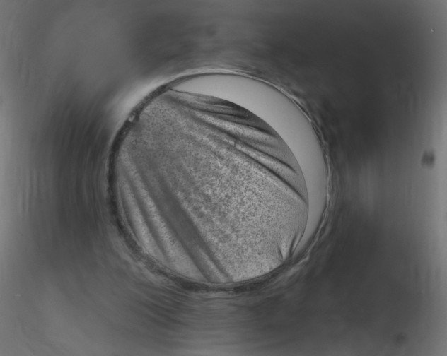 X0000116630200200912312207