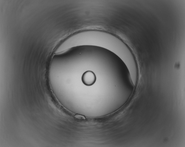X0000116630201200912312207