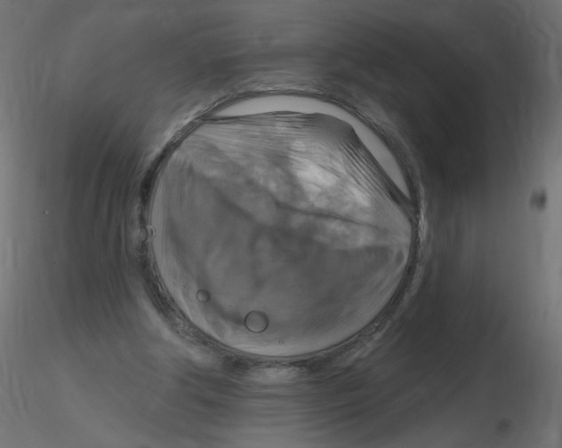 X0000116630202200912312207
