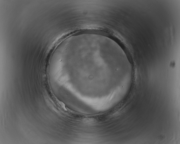 X0000116630203200912312207