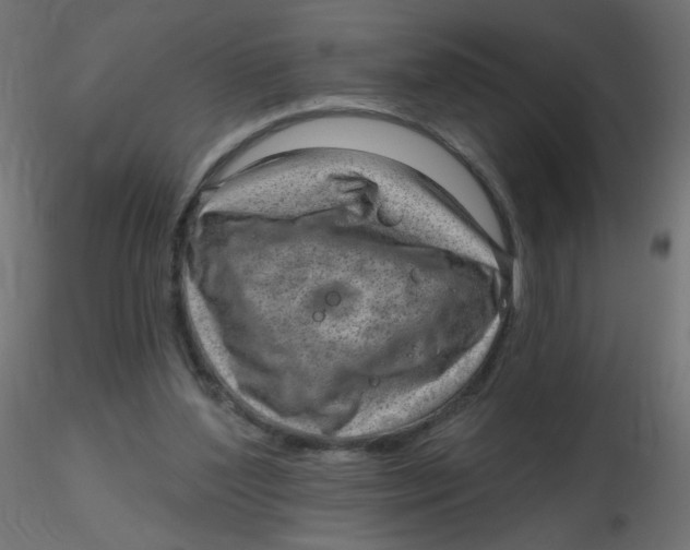 X0000116630204200912312207