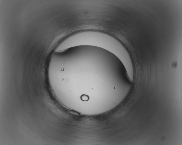 X0000116630207200912312207