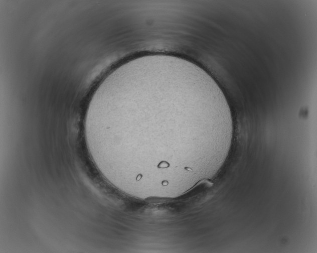 X0000116630208200912312207