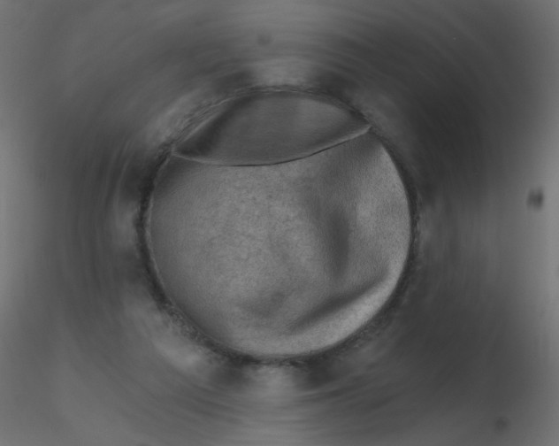 X0000116630209200912312207