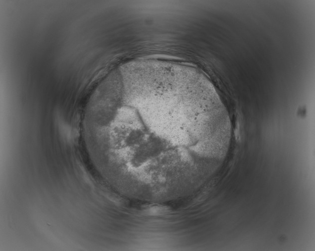 X0000116630210200912312207