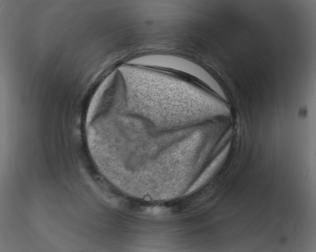 X0000116630212200912312207