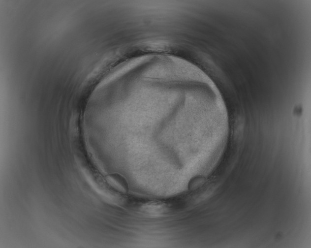 X0000116630213200912312207