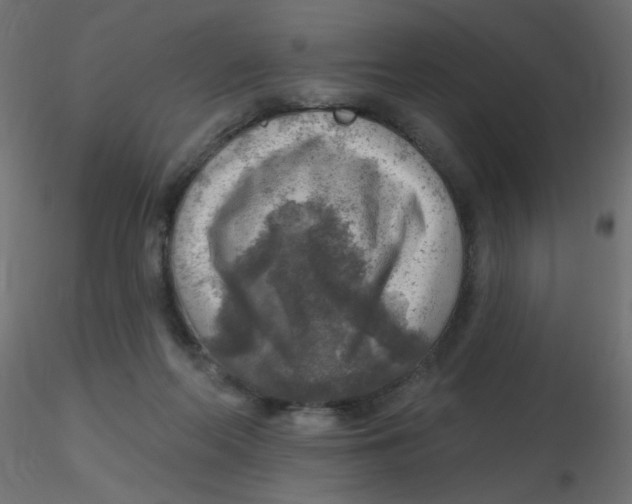 X0000116630214200912312207