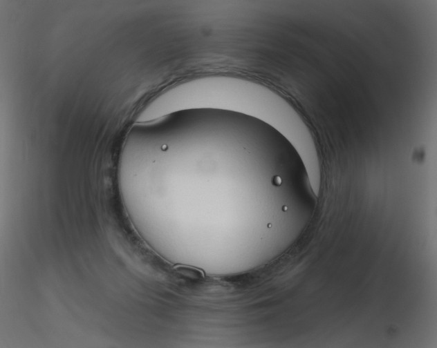 X0000116630215200912312206