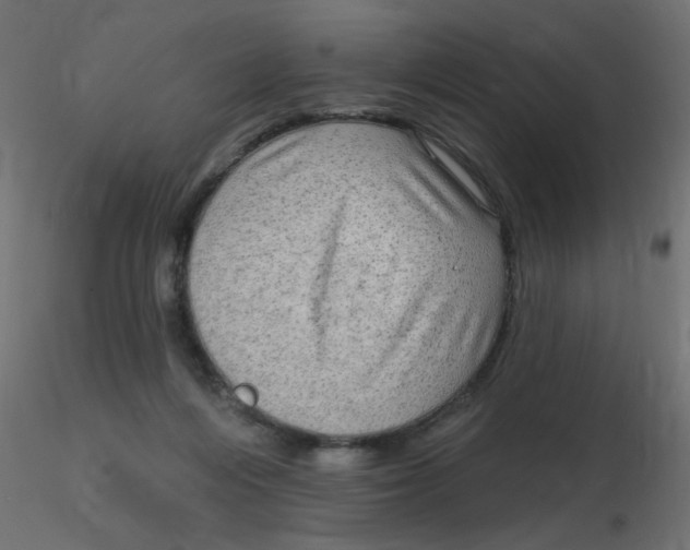 X0000116630216200912312206