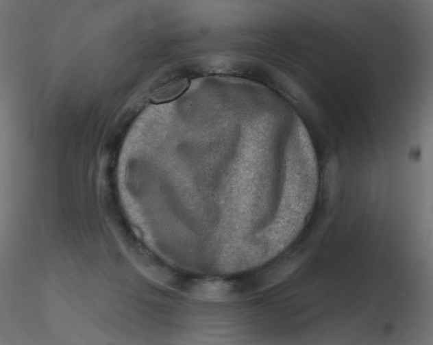 X0000116630217200912312206