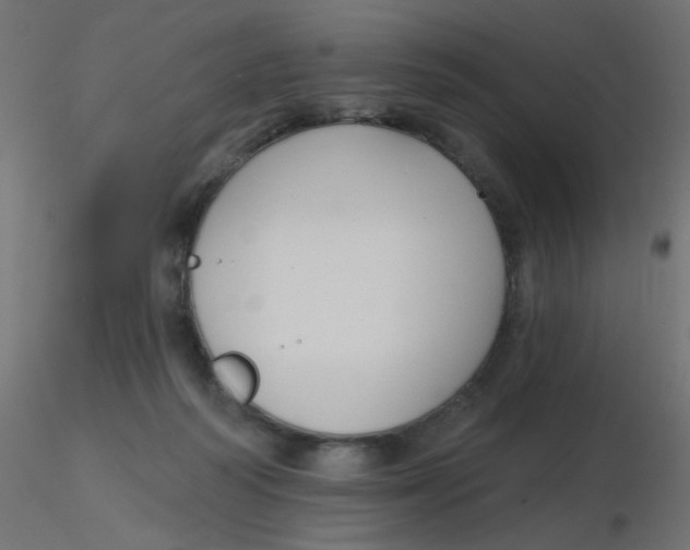 X0000116630218200912312206