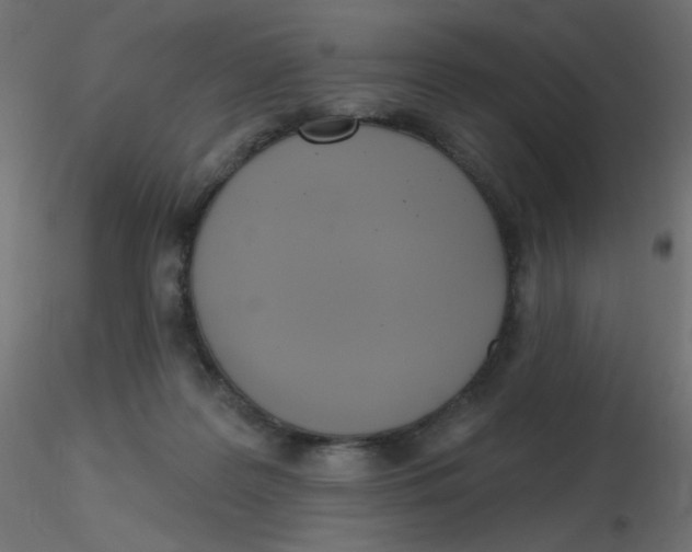 X0000116630219200912312206