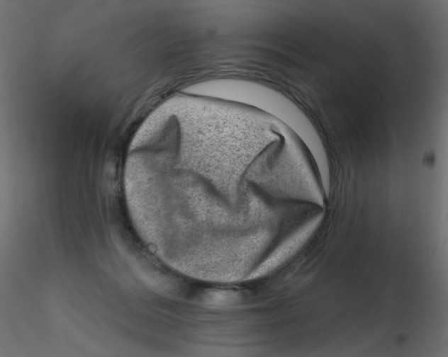 X0000116630220200912312206