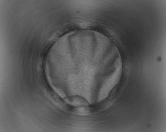 X0000116630221200912312206