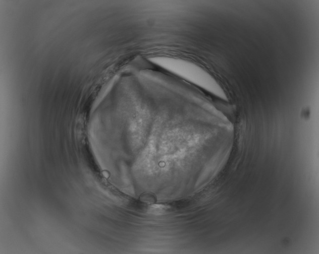 X0000116630222200912312206