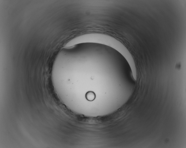 X0000116630223200912312206