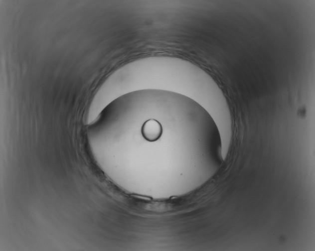 X0000116630225200912312206