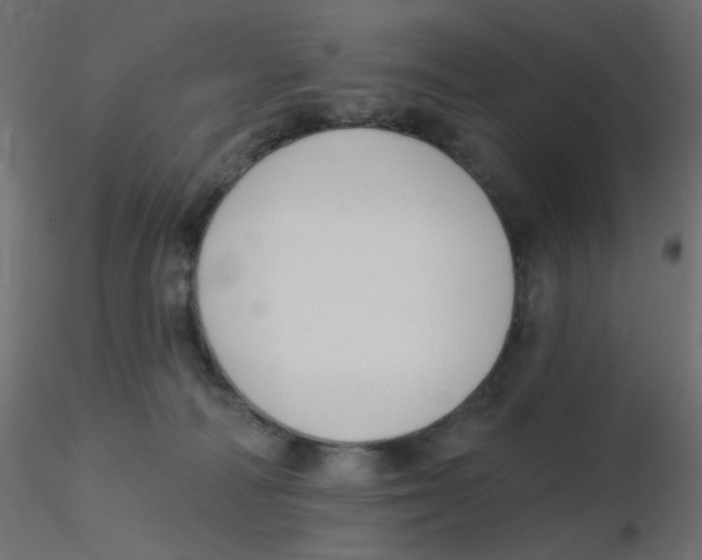 X0000116630226200912312206