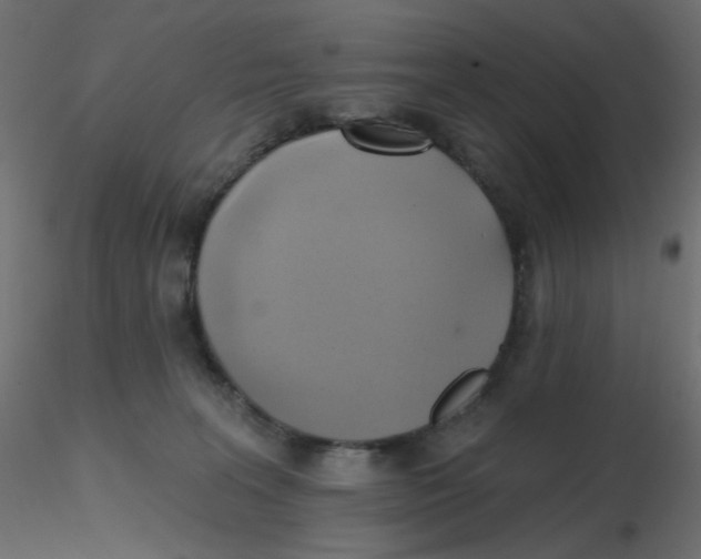 X0000116630227200912312206