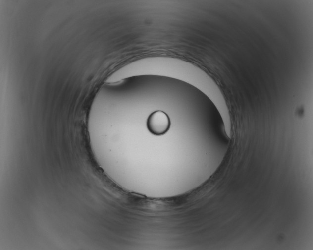 X0000116630229200912312206