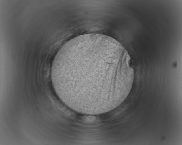 X0000116630230200912312206