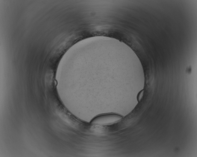 X0000116630231200912312206
