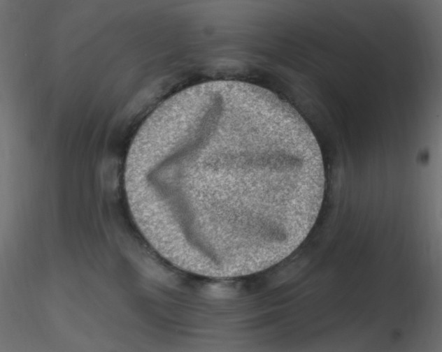 X0000116630232200912312206