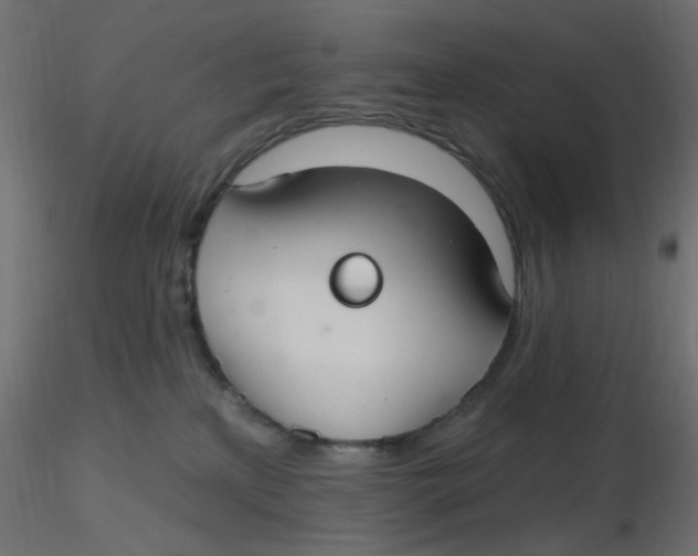 X0000116630233200912312206