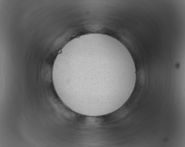 X0000116630234200912312206