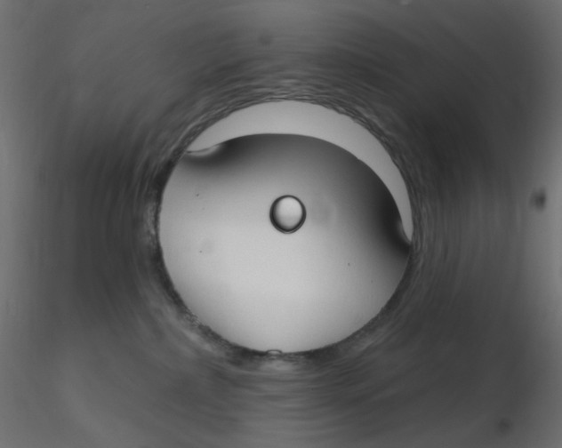 X0000116630236200912312206