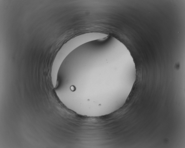X0000116630237200912312206