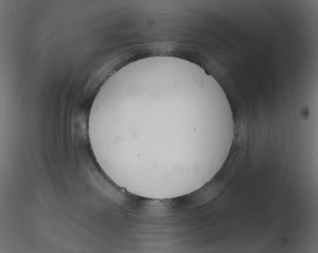 X0000116630238200912312206
